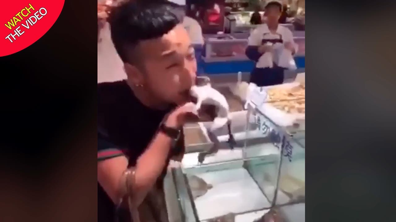 Un homme mange la tête d’une grenouille