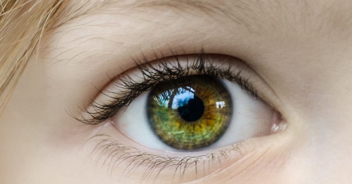 ourquoi les gens aux yeux verts sont-ils spéciaux ?