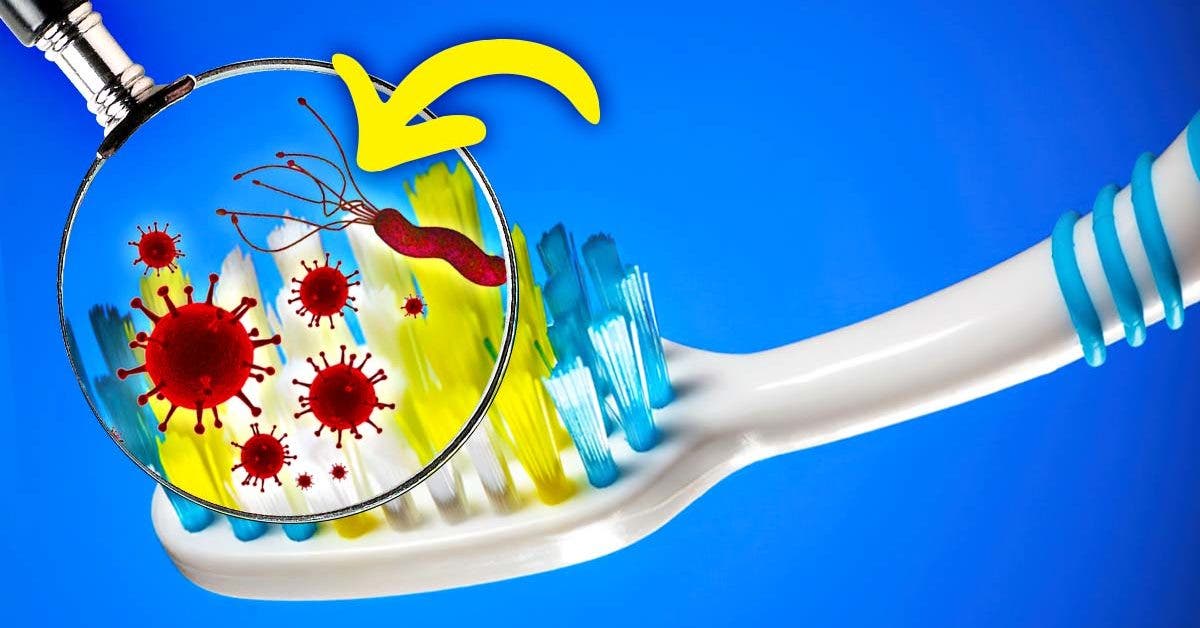 À quelle fréquence faut-il changer la brosse à dents ?